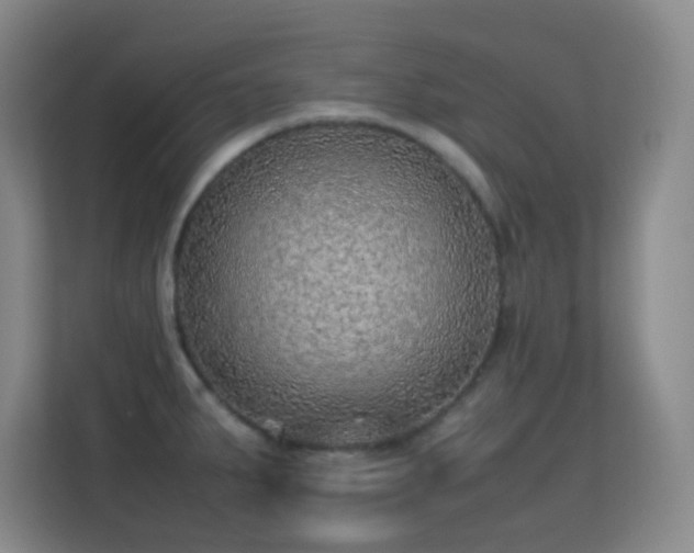 X0000113641287200909251233