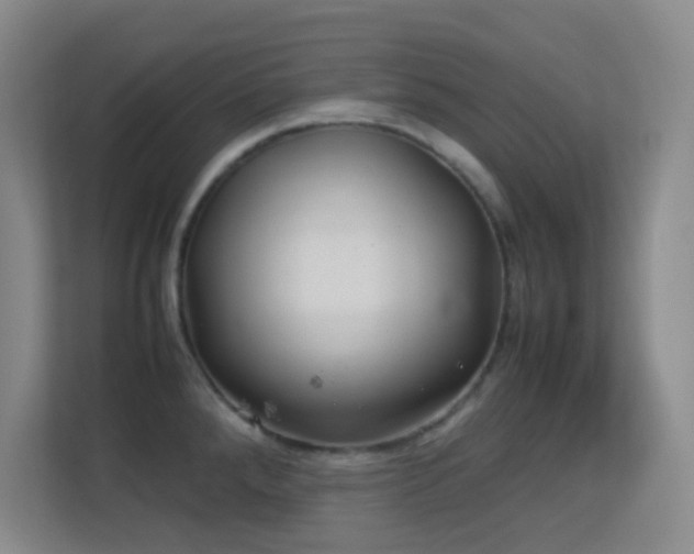 X0000113641288200909251233