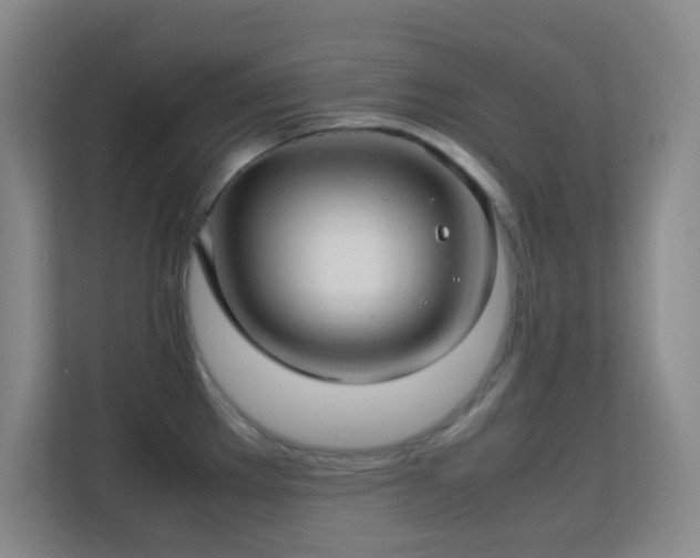 X0000113641289200909251233