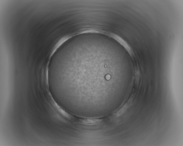 X0000113641290200909251233