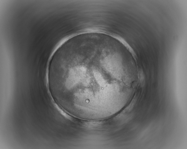 X0000113641294200909251233