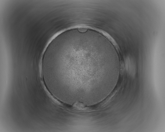 X0000113641295200909251233