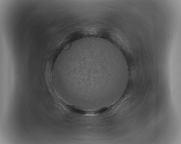 X0000113641297200909251232