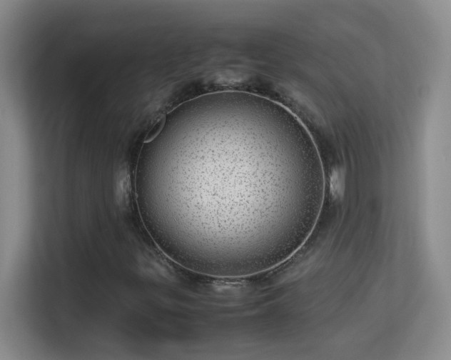 X0000113641299200909251233