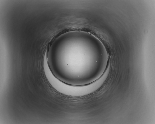 X0000113641300200909251233