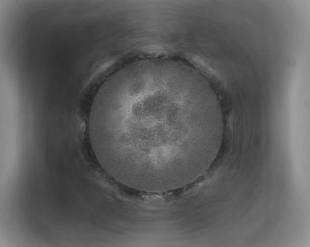 X0000113641302200909251233