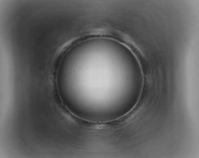 X0000113641304200909251233