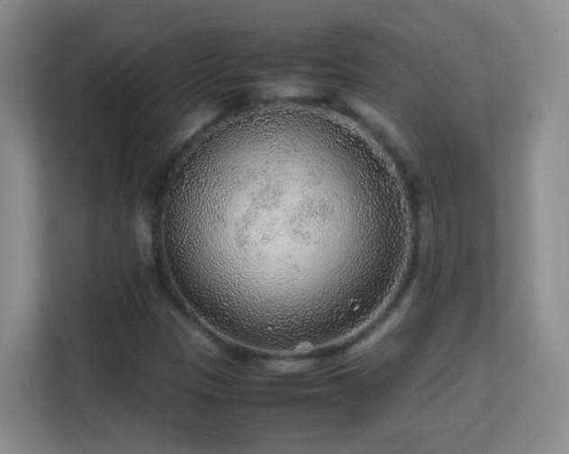 X0000113641305200909251233