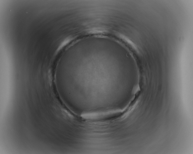 X0000113641306200909251233