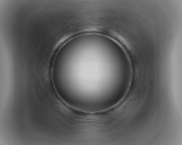 X0000113641308200909251233