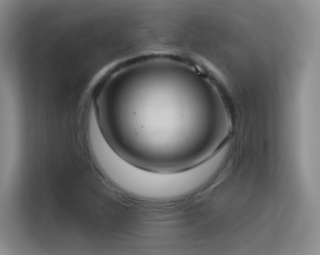 X0000113641310200909251233