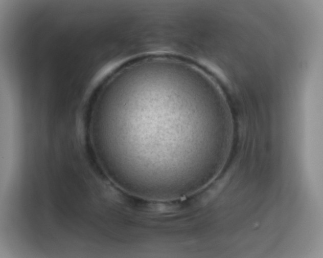 X0000113641311200909251233