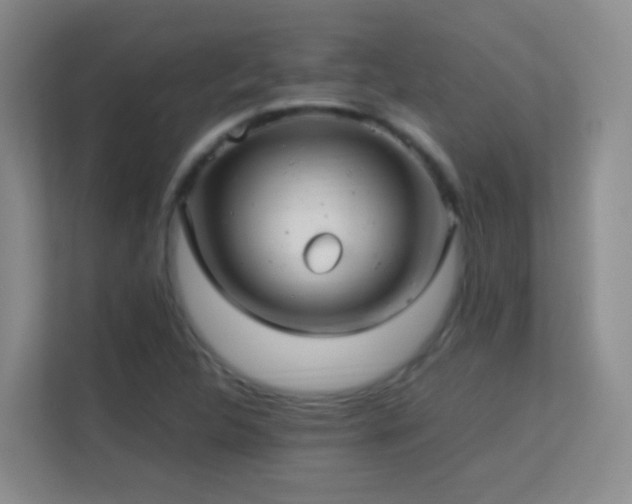 X0000113641312200909251233