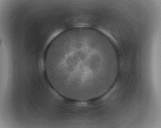 X0000113641317200909251233