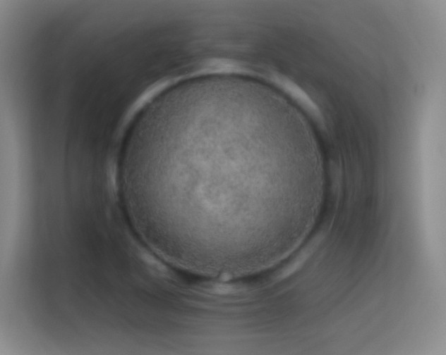 X0000113641318200909251233