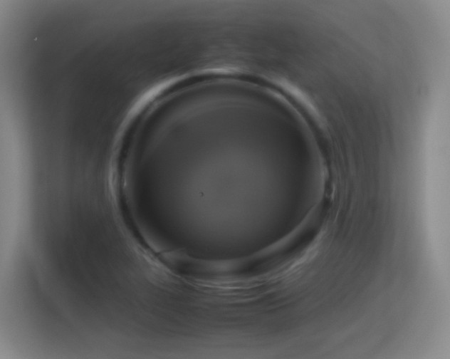 X0000113641319200909251233