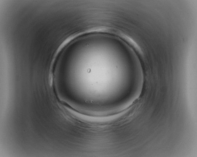 X0000113641324200909251233