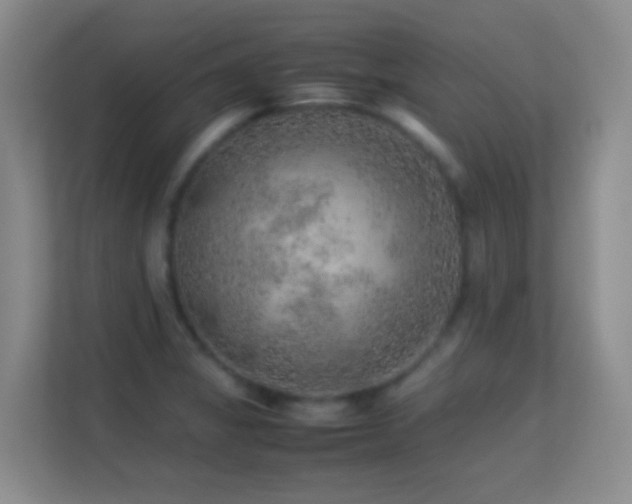 X0000113641325200909251233