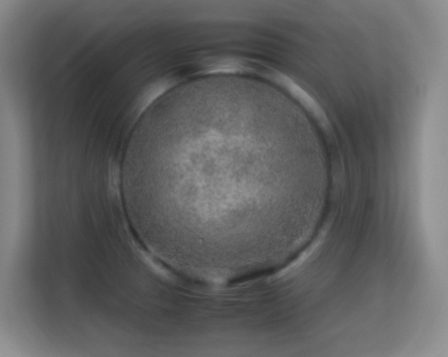 X0000113641329200909251233