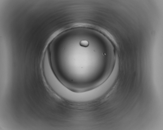 X0000113641330200909251233