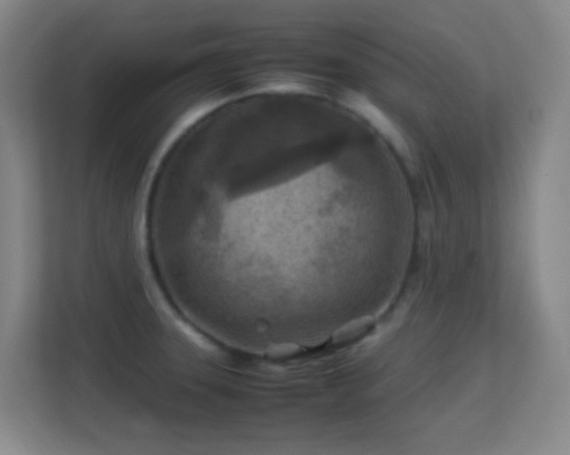 X0000113641331200909251233