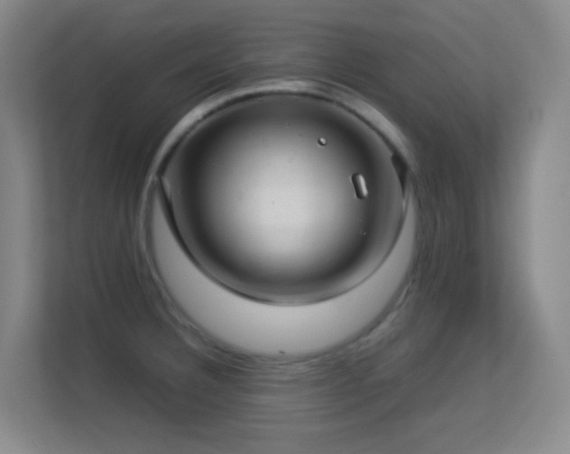 X0000113641332200909251233