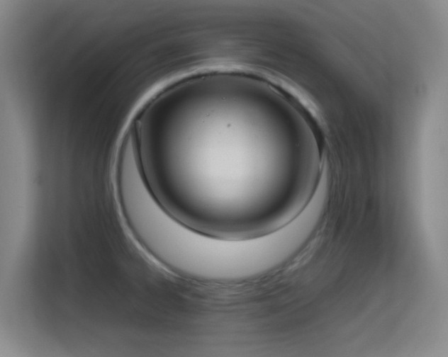 X0000113641334200909251233