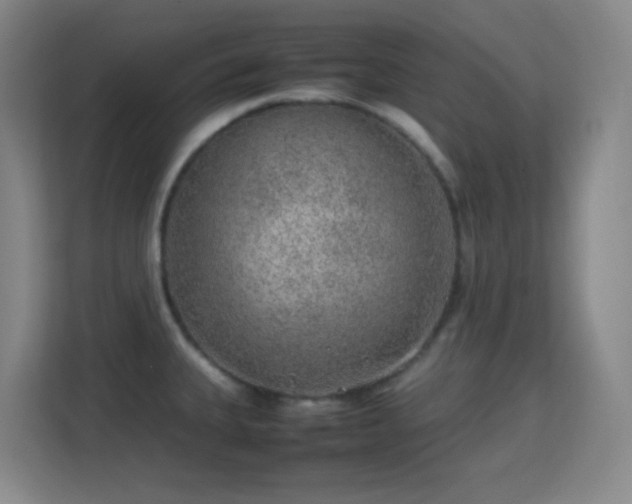 X0000113641335200909251233