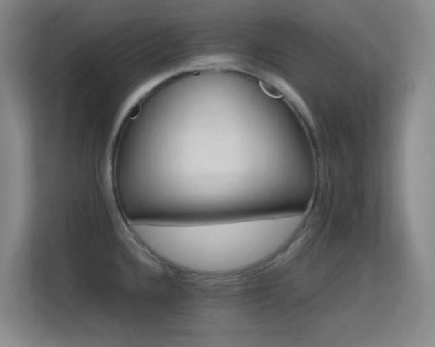 X0000113641336200909251233