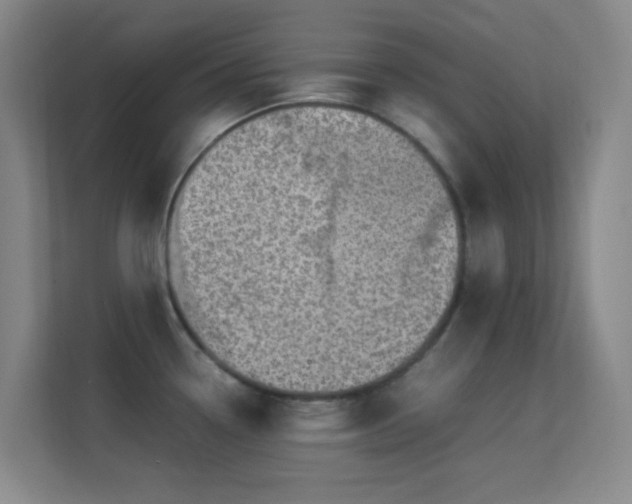 X0000113641338200909251233