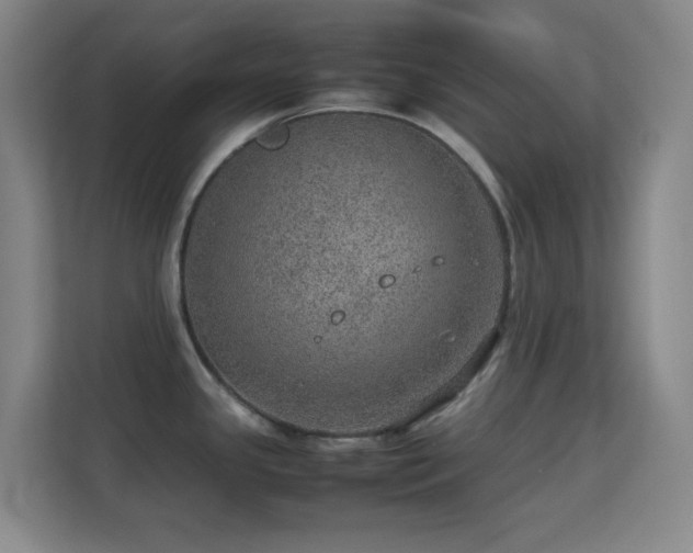 X0000113641341200909251233