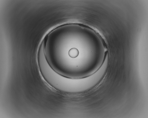 X0000113641342200909251233