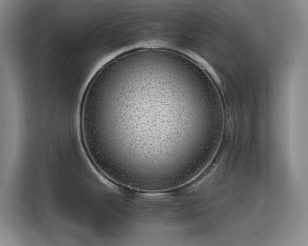 X0000113641343200909251233