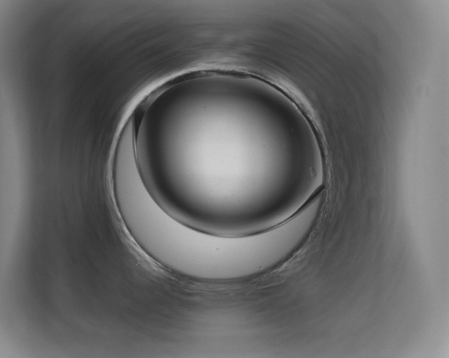 X0000113641344200909251233