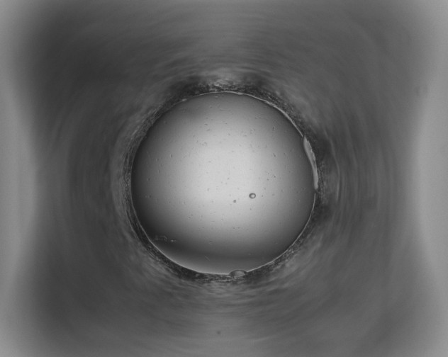 X0000113641345200909251232