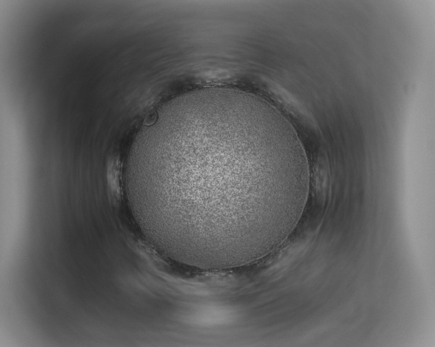 X0000113641346200909251232