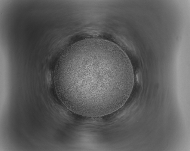 X0000113641347200909251232