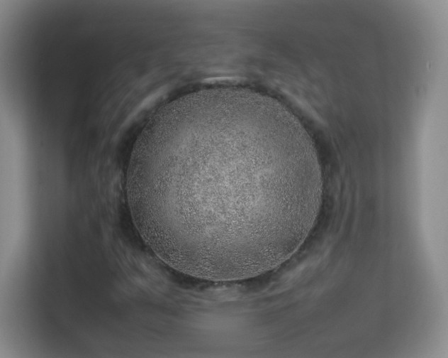 X0000113641351200909251232