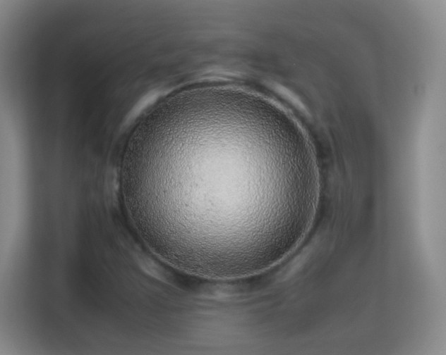 X0000113641355200909251232