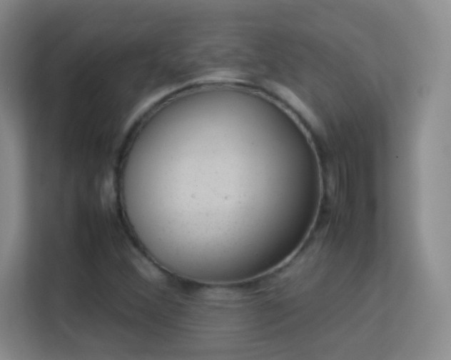 X0000113641356200909251232