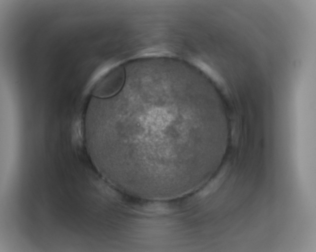 X0000113641358200909251232