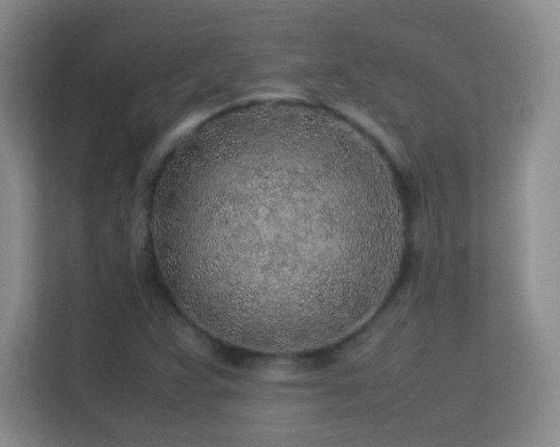 X0000113641359200909251232