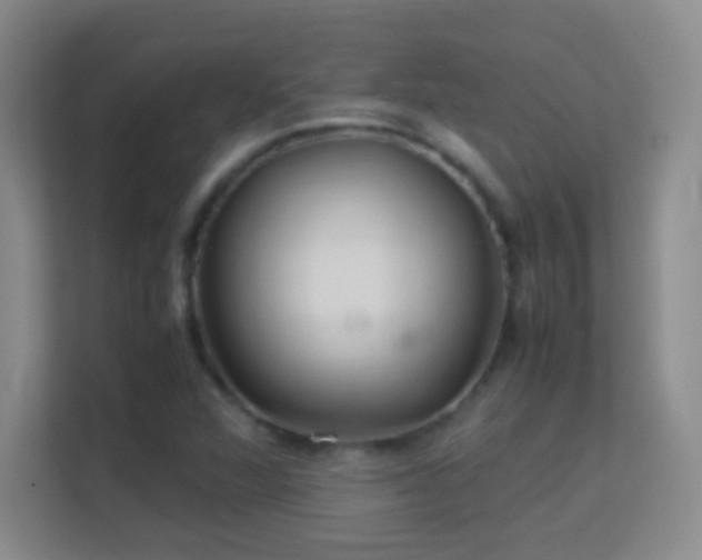 X0000113641360200909251232