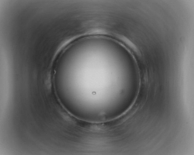 X0000113641364200909251232