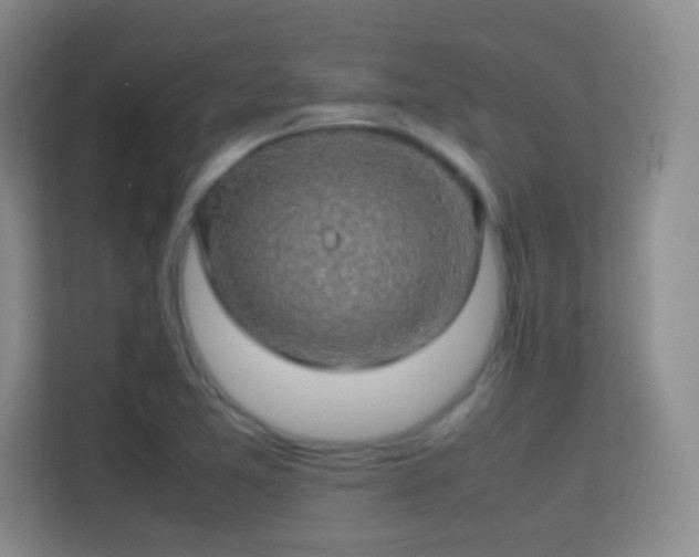 X0000113641365200909251232