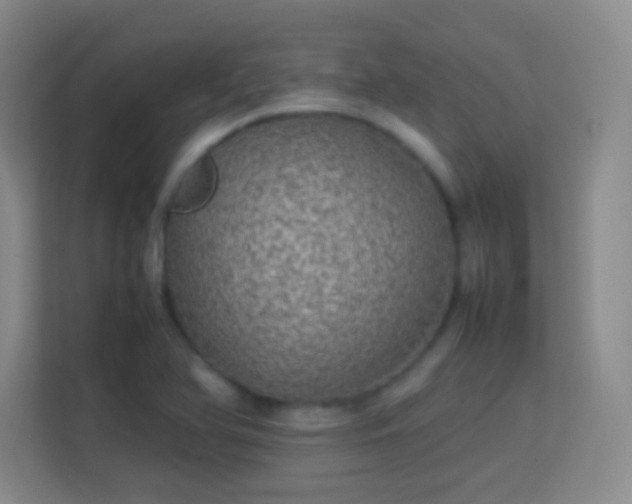 X0000113641366200909251232