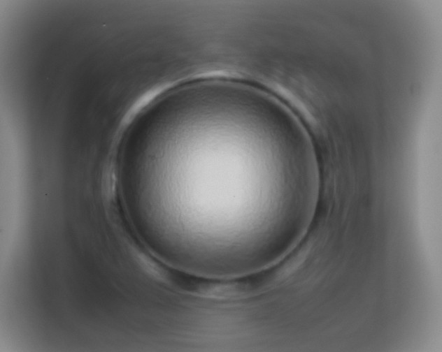 X0000113641367200909251232