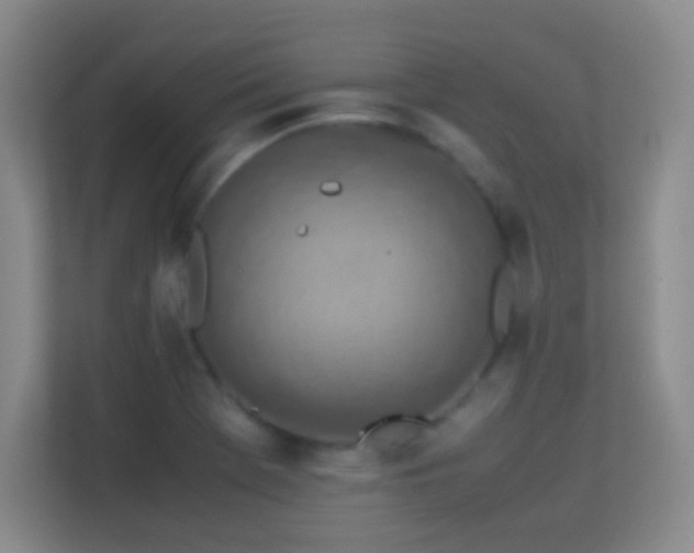 X0000113641369200909251232