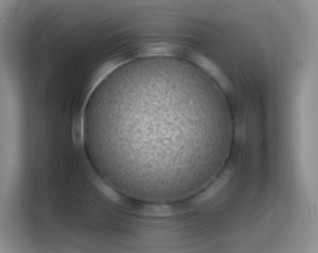 X0000113641370200909251232