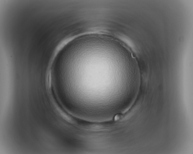 X0000113641371200909251232